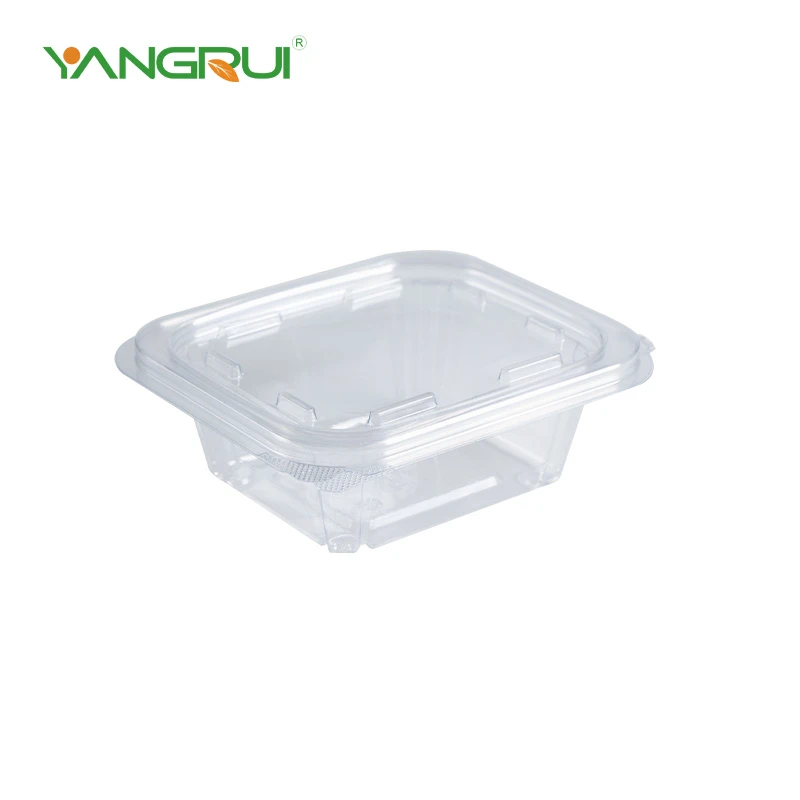 Clear PET Airtight Hinged Food Storage Container