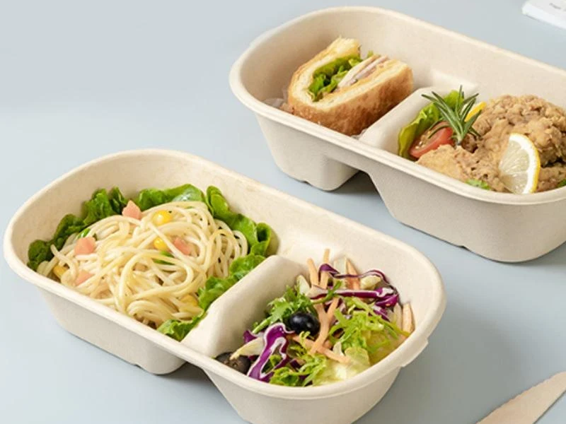 Biodegradable Takeaway Containers: A Practical Buyer's Guide