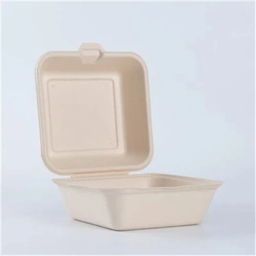 Bagasse Bagasse