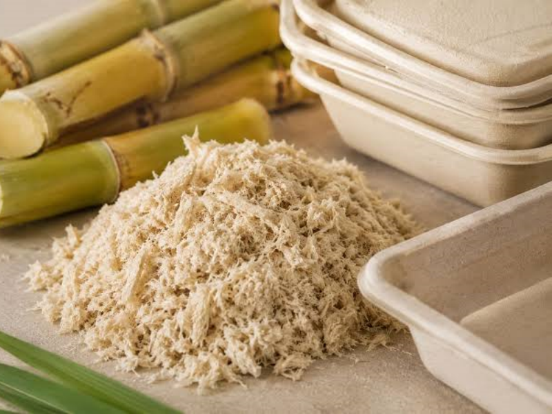 Sugarcane bagasse food containers Sugarcane bagasse food containers