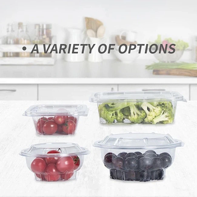 Overview Of Clear Food Containers Overview Of Clear Food Containers