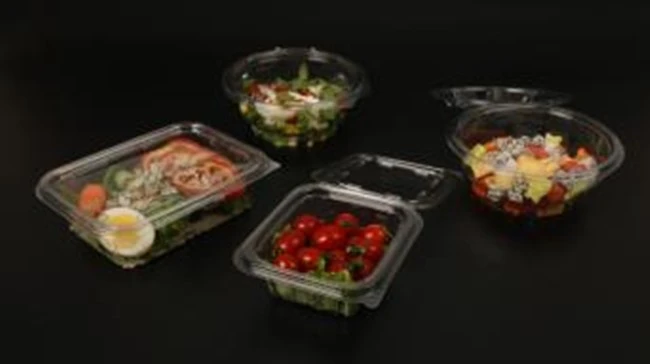 Uses Of PET Plastic Hinged Lid Containers