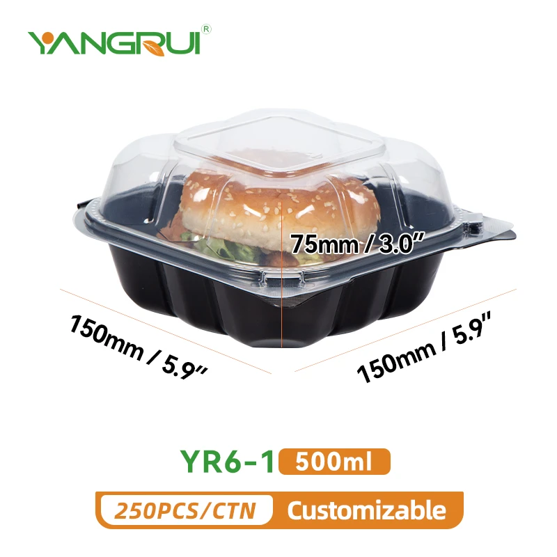 YR6-1 YR6-1
